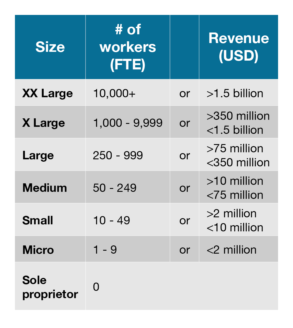 Updated size categories based on workers and revenue.