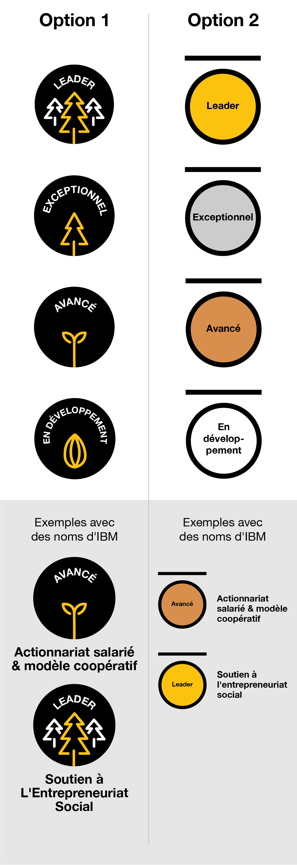 Itinéraire 1 : 4 badges circulaires. Le premier avec le mot "En développement", accompagné d'un visuel d'une graine. Le deuxième avec le mot "Avancé", accompagné d'un visuel d'un jeune arbre. Le troisième avec le mot "Exceptionnel", accompagné d'un visuel d'un arbre. Le quatrième avec le mot "Leader", accompagné d'un visuel d'une forêt. Les noms des IBM figureraient sous l'insigne.
Parcours 2 : 4 médailles. La première n'a pas de couleur de remplissage, avec le mot "En développement" sur la médaille. La deuxième est de couleur bronze et porte la mention "Avancé". La troisième est de couleur argentée et porte la mention "Exceptionnel". La quatrième est de couleur or et porte le mot "Leader". Les noms IBM figurent à droite de la médaille.