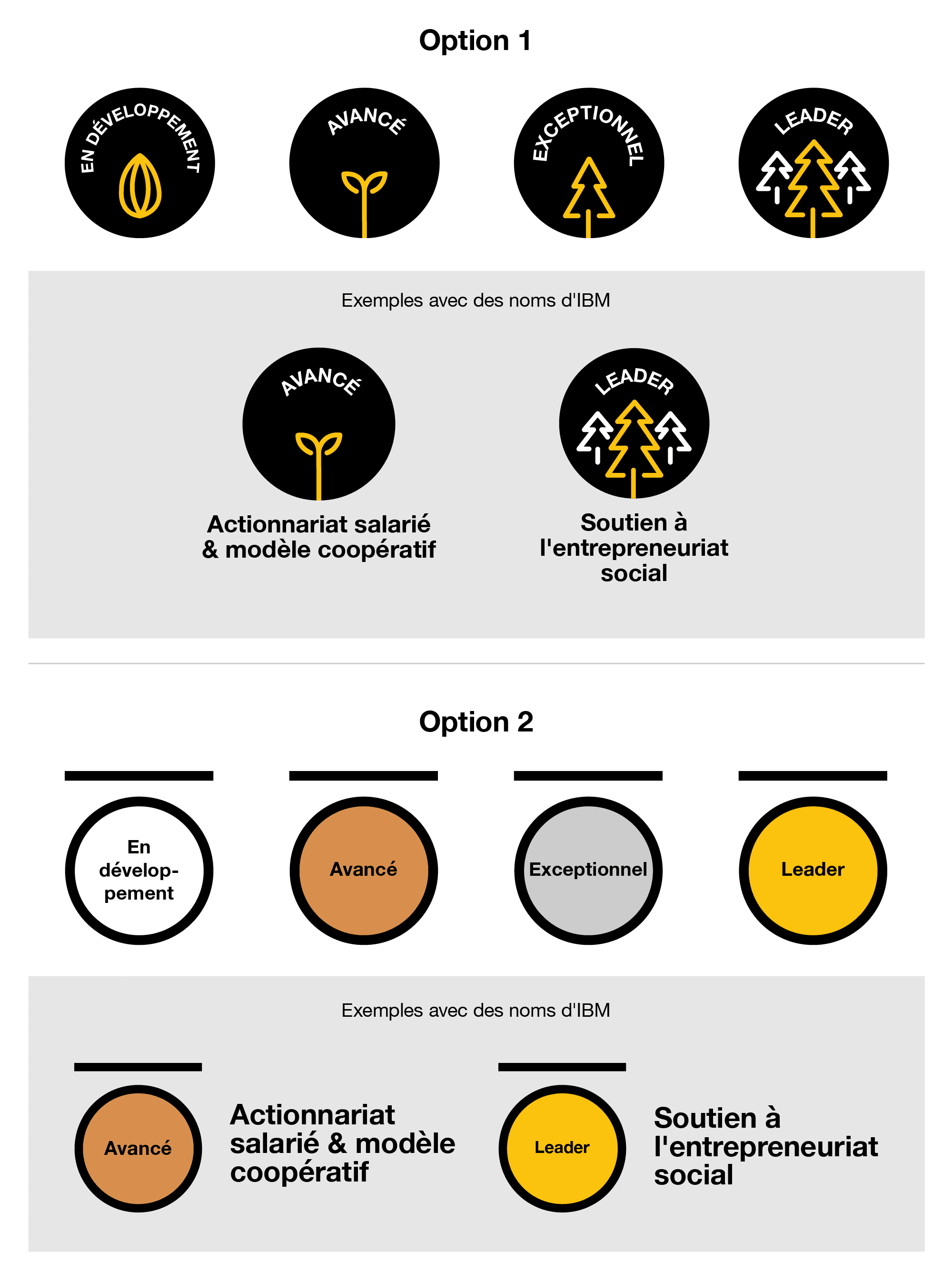 Itinéraire 1 : 4 badges circulaires. Le premier avec le mot "En développement", accompagné d'un visuel d'une graine. Le deuxième avec le mot "Avancé", accompagné d'un visuel d'un jeune arbre. Le troisième avec le mot "Exceptionnel", accompagné d'un visuel d'un arbre. Le quatrième avec le mot "Leader", accompagné d'un visuel d'une forêt. Les noms des IBM figureraient sous l'insigne.
Parcours 2 : 4 médailles. La première n'a pas de couleur de remplissage, avec le mot "En développement" sur la médaille. La deuxième est de couleur bronze et porte la mention "Avancé". La troisième est de couleur argentée et porte la mention "Exceptionnel". La quatrième est de couleur or et porte le mot "Leader". Les noms IBM figurent à droite de la médaille.