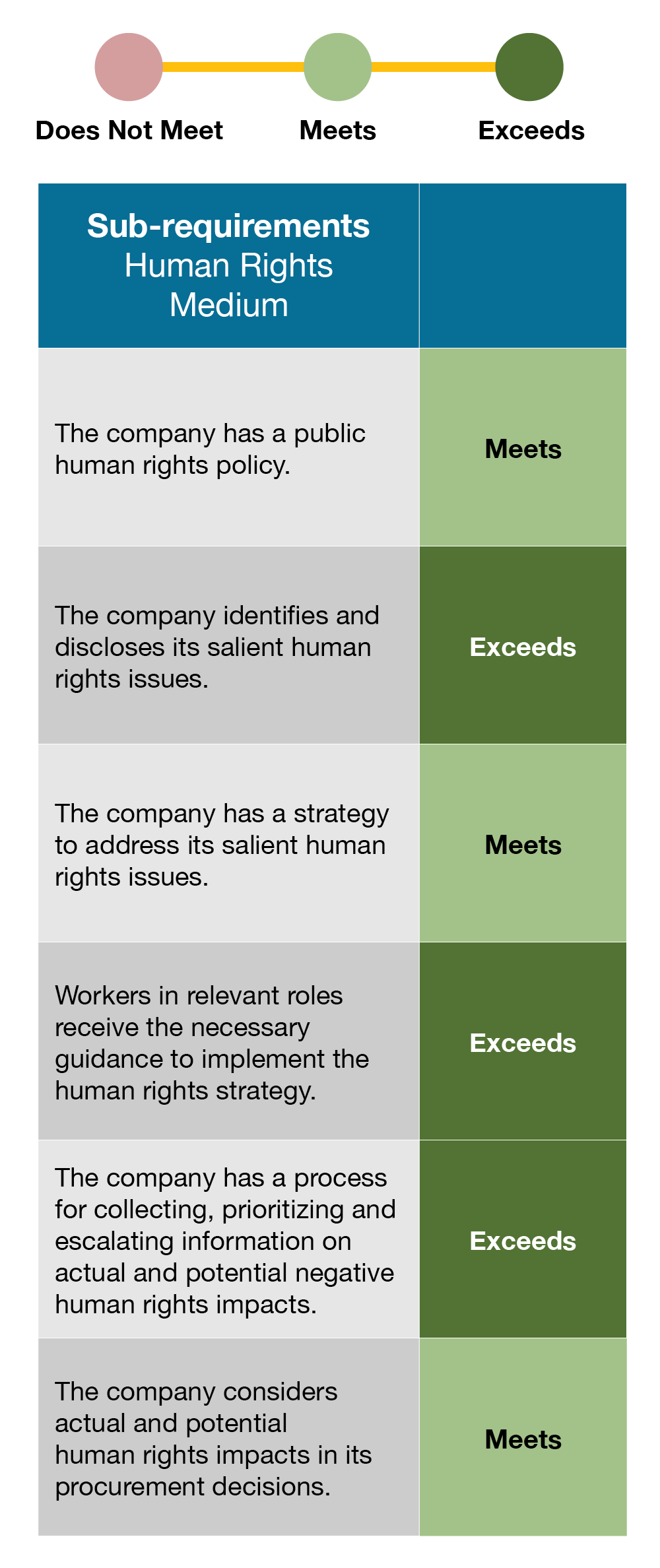 A company will be evaluated as "Does not meet", "Meets" or "Exceeds" each Impact Topic’s sub-requirements. An indicative example of what this could look like for the topic of Human Rights.
